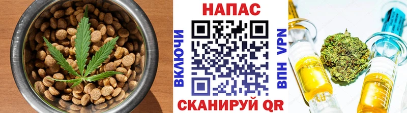 мориарти телеграм  Мичуринск  Печенье с ТГК конопля 