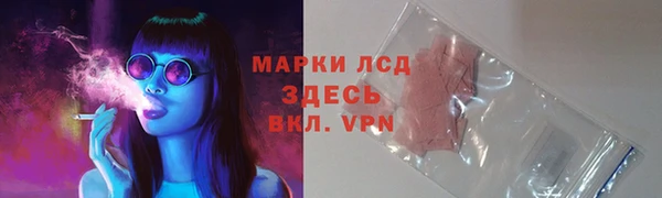 ГАЛЛЮЦИНОГЕННЫЕ ГРИБЫ Беломорск
