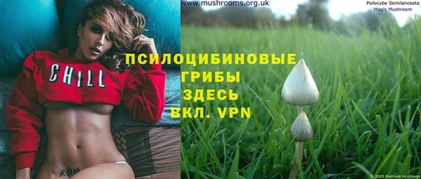 apvp Белокуриха