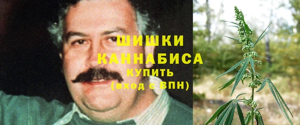 apvp Белокуриха